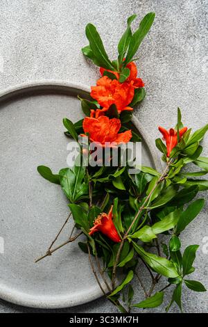 Un vibrante fiore di melograno fiorisce con vivaci petali arancioni e lussureggianti foglie verdi, adagiate su un sottile sfondo grigio. La scena cattura un beauti Foto Stock