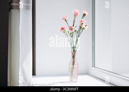 Un grazioso bouquet di garofani rosa splendidamente sistemati in un vaso di vetro trasparente, seduti su un davanzale bianco, crogiolati alla luce del sole Foto Stock