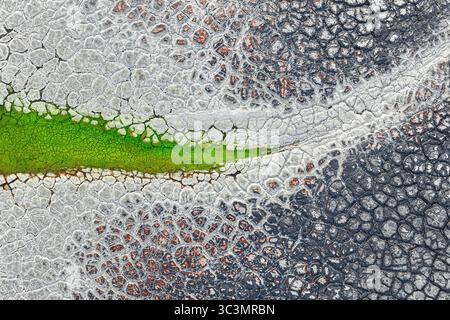 Vista aerea del vibrante fango dipinto che crea motivi astratti. Scattata con un drone, l'immagine mostra texture colorate e disegni complessi di Foto Stock