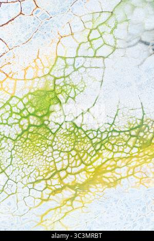 Vista aerea che cattura un paesaggio di fango vibrante e dipinto. I motivi colorati ricordano l'arte astratta, mostrando texture e topografia intricate Foto Stock