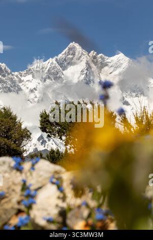 Maestose vette innevate dell'Himalaya si innalzano dietro vibranti fiori selvatici blu e gialli, offrendo una vista panoramica mozzafiato nel cuore di N. Foto Stock