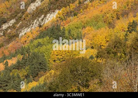 Scopri l'incredibile gamma di colori autunnali nei Pirenei, con alberi che mostrano vibranti sfumature di arancione, giallo e verde contro le montagne rocciose Foto Stock