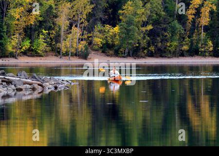 Un kayak solitario scivola sul lago McDonald, incorniciato da alberi dorati e riflessi autunnali, evocando un'avventura nella natura selvaggia nel Glacier National Park. Foto Stock