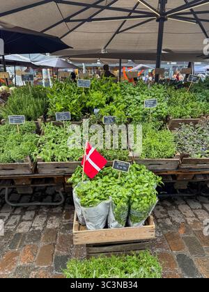 Mercato alimentare di Torvehallerne a Copenaghen, Danimarca, ed erbe fresche locali danesi rappresentate per la vendita. Foto Stock