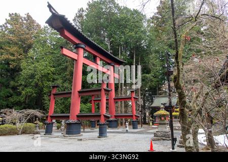 Fujiyoshida, Giappone - 6 aprile 2025; porta Fujisan Ōtorii situata tra l'albero di cypres nel complesso del santuario Kitaguchi Hongu Fuji Sengen Foto Stock