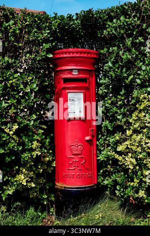 Casella postale rossa in siepe nella zona rurale, Regno Unito Foto Stock