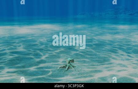 Grande polpo che poggia sul fondo del mare Foto Stock