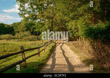 Percorso alla Hoyt Farm Nature Preserve, Commack, New York Foto Stock