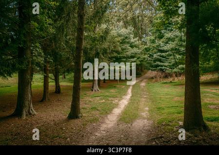 Un percorso alla Hoyt Farm Nature Preserve, Commack, Long Island, New York Foto Stock