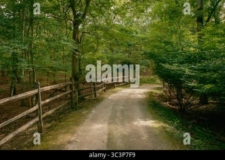 Un percorso alla Hoyt Farm Nature Preserve, Commack, Long Island, New York Foto Stock