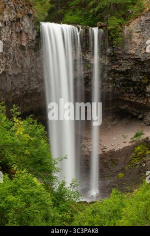 Tamanawas Falls lungo il Tamanawas Falls Trail, Mt. Hood National Scenic Byway, Mt Hood National Forest, Oregon Foto Stock