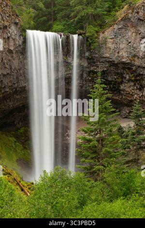 Tamanawas Falls lungo il Tamanawas Falls Trail, Mt. Hood National Scenic Byway, Mt Hood National Forest, Oregon Foto Stock