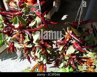 Peperoncini rossi in fila per essere esposti al mercato agricolo all'aperto Foto Stock