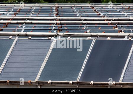 File di pannelli termici solari industriali con sistema idraulico visibile catturano e convertono la luce solare in energia termica per un riscaldamento dell'acqua efficiente in un ambiente rinnovabile Foto Stock