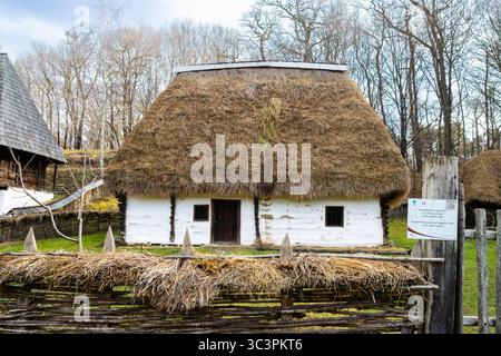 Fattoria contadina e capanna dei pastori. Vecchia casa al Museo Astra, la più importante istituzione etno-museo della Romania. Foto Stock