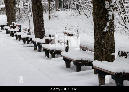 Fila di panchine nel parco coperte di neve. Giornata invernale nel parco Foto Stock