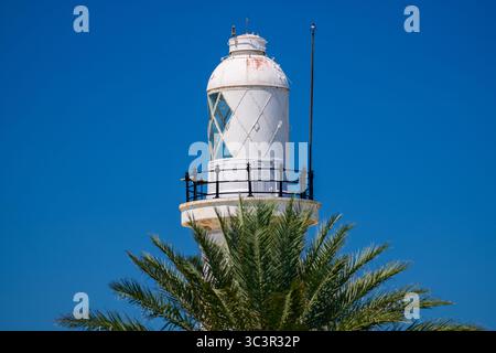 La cima del faro di Talaimannar sorge sopra le fronde lussureggianti di un albero di palma contro un cielo blu vivido Foto Stock