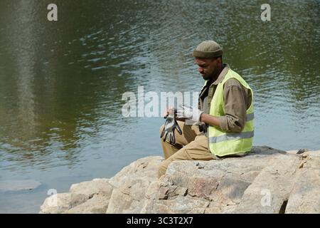 Black Man di mezza età seduto su Rocks by Water indossando guanti da lavoro Foto Stock