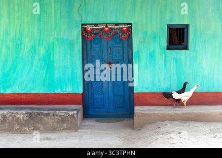 Pollo bianco e nero che cammina di fronte a una casa colorata e decorata in modo tradizionale della tribù maria a chhattisgarh, in india, vecchia porta Foto Stock