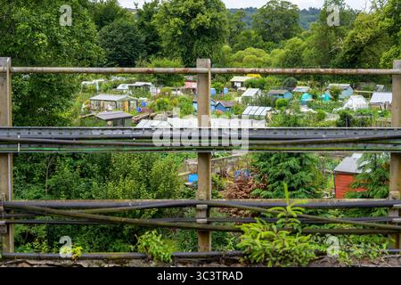 Moncrieffe Island allotments, Perth, Perth e Kinross, Scozia, Regno Unito, Europa Foto Stock