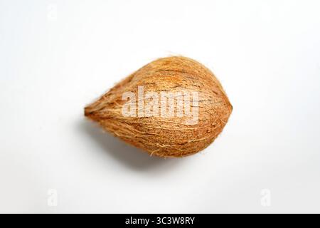 Cocco grezzo isolato su sfondo bianco. Foto Stock