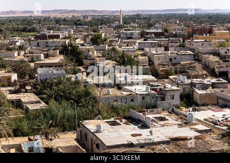 Oasi di Siwa, paesaggio urbano da Gebel el-Dakrour, oracolo di Amon, tempio di Amon, oasi di Siwa, governatorato di Marsa Matrouh, Egitto, Nord Africa, Africa Foto Stock
