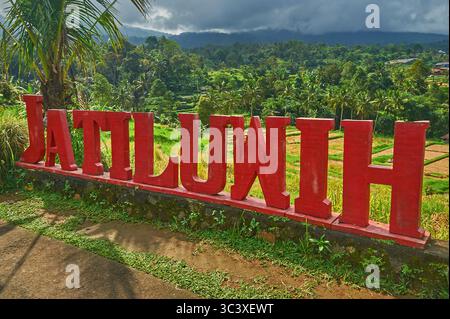 Terrazze di riso Jatiluwih, patrimonio dell'umanità dell'UNESCO, sull'isola indonesiana di Bali Foto Stock