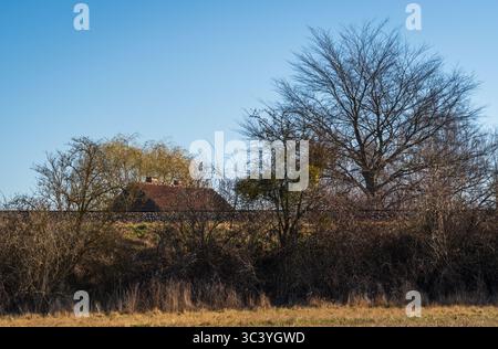Strutture abbandonate della seconda guerra mondiale e area circostante nel Brandeburgo, Germania Foto Stock