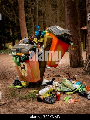 Contenitore per rifiuti Full Dog, Rendlesham Forest, Suffolk, Inghilterra Foto Stock