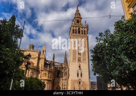 Cattedrale di Siviglia con campanile la Giralda tra gli aranci nella città di Siviglia, Andalusia, Spagna. Foto Stock