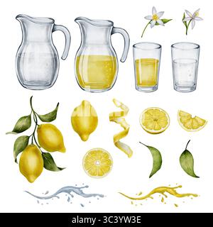 Set di acquerelli: Brocche, limoni, fette, foglie, fiori e spruzzi di succo di limone. Isolato su sfondo bianco. Per imballaggio, menu, poster estivo Foto Stock