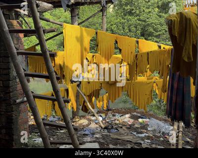 Pelle gialla appesa ad asciugare al sole su un'impalcatura di legno, Topsia, Kolkata, Bengala Occidentale, India Foto Stock