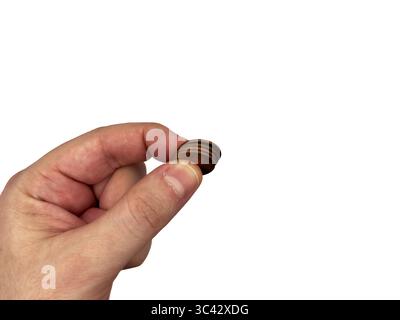 Monete USA, denaro USA, centesimi, stipendio in dollari, dollaro, mans hand ha una pila di monete, spazio copia, flay lay lay, vista dall'alto. Il centesimo e il TH Foto Stock