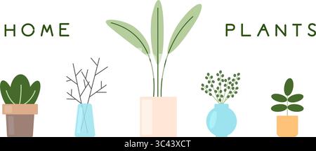 Set di piante per la casa. Piante in vaso e in vaso di vetro per interni. Semplice raccolta di elementi piatti. Illustrazione Vettoriale