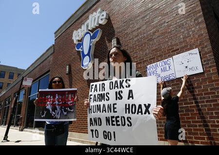10 giugno 2019, Chicago, Illinois, USA: I manifestanti manifestano al di fuori della sede centrale di Fairlife a Chicago il 10 giugno 2019, dopo che la compagnia è stata messa sotto fuoco quando un gruppo di benessere degli animali ha rilasciato un video sotto copertura che mostra alcuni lavoratori impegnati in presunti abusi di vitelli alla Fair Oaks Farms, un fornitore di Fairlife. (Immagine di credito: © TNS via cavo ZUMA) Foto Stock
