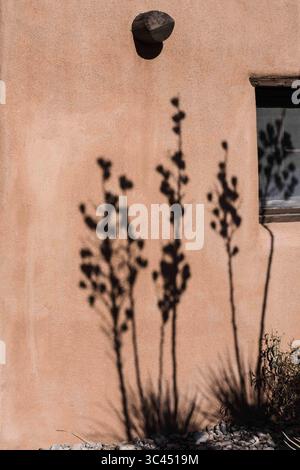 8 gennaio 2021, Alamogordo, Valle del Cauca, Colombia: Ombre di Soaptree Yuccas sulla facciata del Centro visitatori del Parco Nazionale di White Sands, New Mexico. (Immagine di credito: © Jon G. Fuller/VW Pics tramite filo ZUMA) Foto Stock