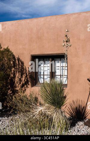 8 gennaio 2021, Alamogordo, Valle del Cauca, Colombia: A Soaptree Yucca di fronte al Centro visitatori del White Sands National Park, New Mexico. (Immagine di credito: © Jon G. Fuller/VW Pics tramite filo ZUMA) Foto Stock