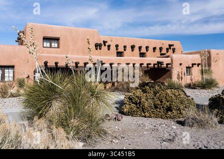 8 gennaio 2021, Alamogordo, Valle del Cauca, Colombia: Soaptree Yuccas di fronte al Visitor Center del White Sands National Park, New Mexico. (Immagine di credito: © Jon G. Fuller/VW Pics tramite filo ZUMA) Foto Stock