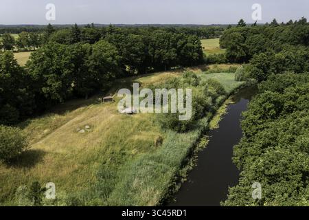 Vista aerea di un tranquillo canale che riflette il cielo, delimitato da una vibrante vegetazione verde e campi dorati, Scherpenzeel, Gheldria, Paesi Bassi. Foto Stock