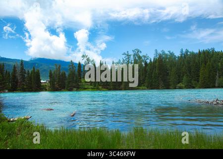 Il turchese fiume Crystal Clear scorre attraverso il lussureggiante paesaggio forestale, Kanas, Xinjiang, Cina Foto Stock