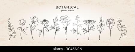 Fiori di linea e rami. Delinea l'arte floreale botanica, una rosa disegnata a mano ed erbe aromatiche. Schizzo grafico del bouquet continuo. Elementi decorativi isolati flora estiva. Illustrazione vettoriale del doodle Illustrazione Vettoriale