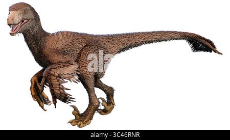 3D rendering di un dinosur Dakotaraptor isolato su sfondo bianco Foto Stock
