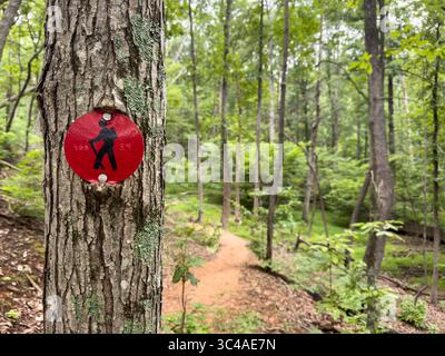 Un sentiero escursionistico segnalato con un cartello rosso nel bosco Foto Stock