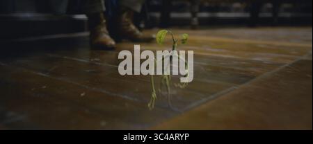 DATA DI USCITA: 16 novembre 2018 TITOLO: Fantastic Beasts: The Crimes of Grindelwald STUDIO: Heyday Films REGISTA: David Yates TRAMA: Ithe secondo capitolo della serie "Fantastic Beasts" ambientata nel Wizarding World di J.K. Rowling con le avventure del magizoologo Newt Scamander. PROTAGONISTA: Scena. (Immagine di credito: © Heyday Films/Entertainment Pictures/ZUMAPRESS.com) Foto Stock