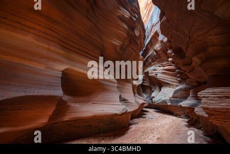 Buckskin Gulch si trova nella parte meridionale della contea di Kane, Utah, vicino al confine con l'Arizona, nella riserva naturale Paria Canyon-Vermilion Cliffs. Foto Stock