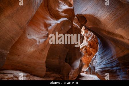 Buckskin Gulch si trova nella parte meridionale della contea di Kane, Utah, vicino al confine con l'Arizona, nella riserva naturale Paria Canyon-Vermilion Cliffs. Foto Stock