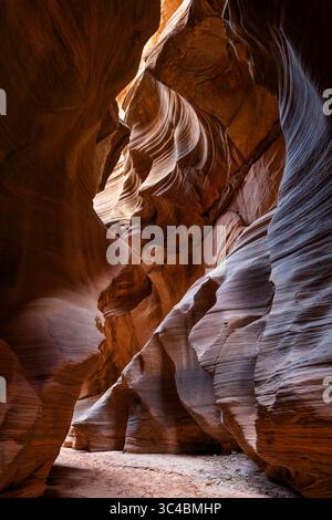 Buckskin Gulch si trova nella parte meridionale della contea di Kane, Utah, vicino al confine con l'Arizona, nella riserva naturale Paria Canyon-Vermilion Cliffs. Foto Stock