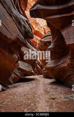 Buckskin Gulch si trova nella parte meridionale della contea di Kane, Utah, vicino al confine con l'Arizona, nella riserva naturale Paria Canyon-Vermilion Cliffs. Foto Stock