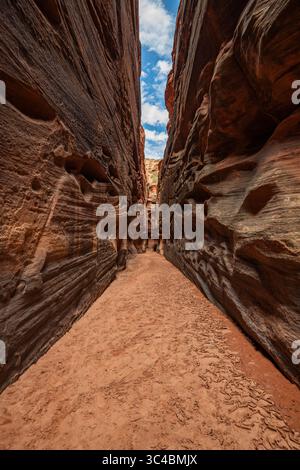 Buckskin Gulch si trova nella parte meridionale della contea di Kane, Utah, vicino al confine con l'Arizona, nella riserva naturale Paria Canyon-Vermilion Cliffs. Foto Stock