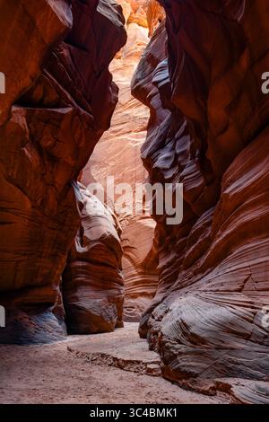 Buckskin Gulch si trova nella parte meridionale della contea di Kane, Utah, vicino al confine con l'Arizona, nella riserva naturale Paria Canyon-Vermilion Cliffs. Foto Stock